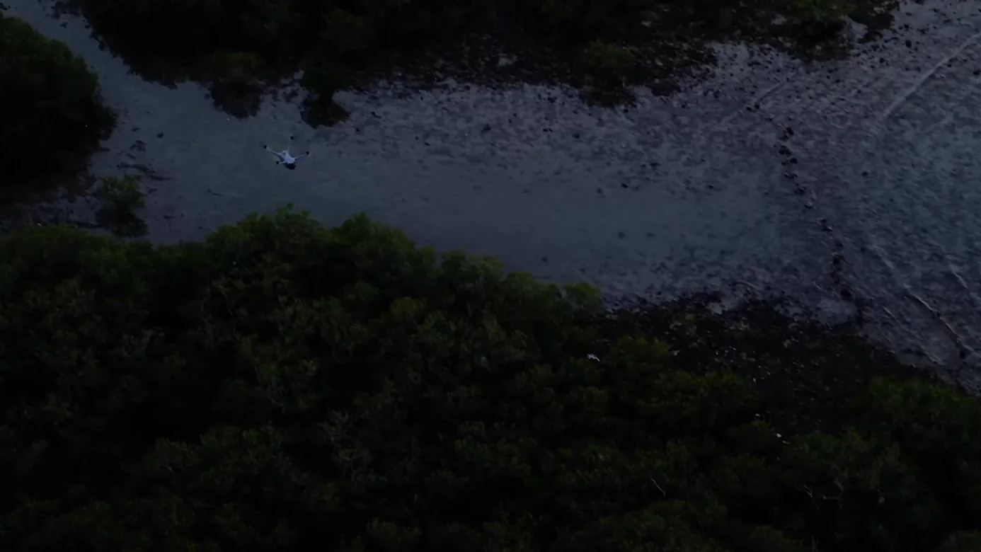 A real low light aerial after dark: ground, water and tree line, almost no detail